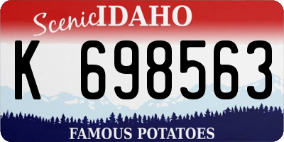 ID license plate K698563