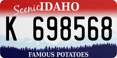 ID license plate K698568