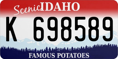 ID license plate K698589