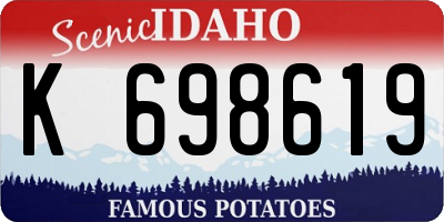 ID license plate K698619