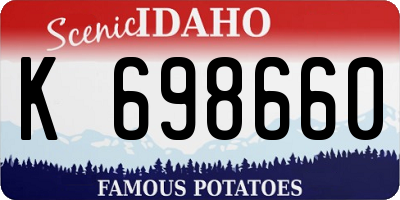 ID license plate K698660