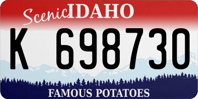 ID license plate K698730