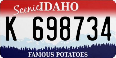 ID license plate K698734