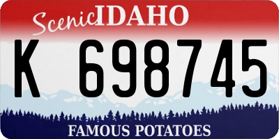 ID license plate K698745