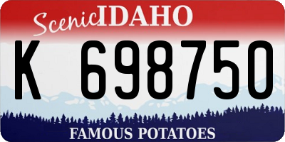 ID license plate K698750
