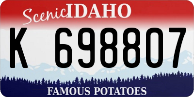ID license plate K698807