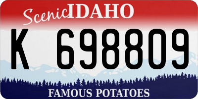 ID license plate K698809