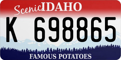 ID license plate K698865