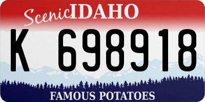 ID license plate K698918