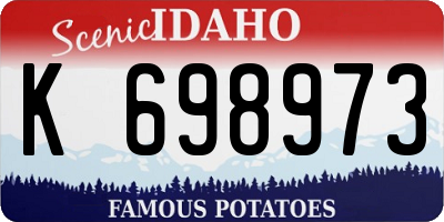ID license plate K698973