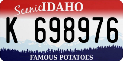 ID license plate K698976
