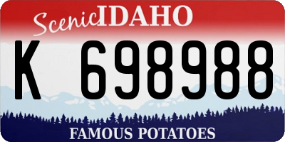 ID license plate K698988