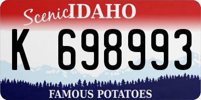 ID license plate K698993