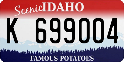 ID license plate K699004