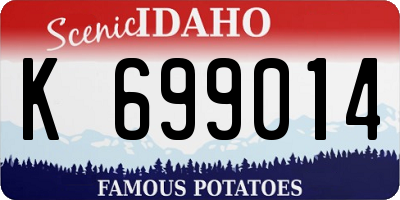 ID license plate K699014