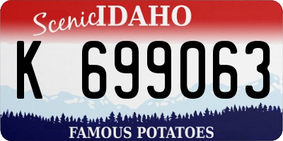 ID license plate K699063