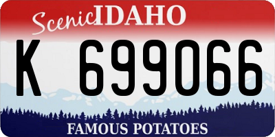 ID license plate K699066