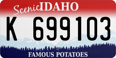 ID license plate K699103