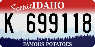 ID license plate K699118