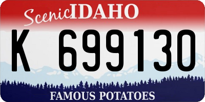 ID license plate K699130
