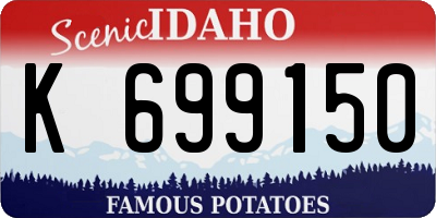 ID license plate K699150