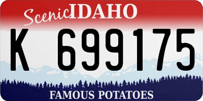 ID license plate K699175