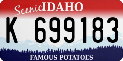 ID license plate K699183