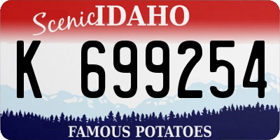 ID license plate K699254