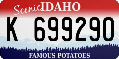 ID license plate K699290