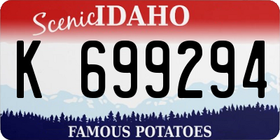 ID license plate K699294