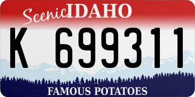 ID license plate K699311
