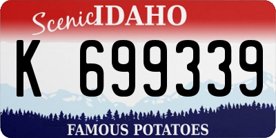 ID license plate K699339