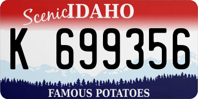 ID license plate K699356