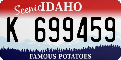ID license plate K699459