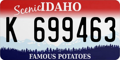 ID license plate K699463