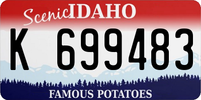ID license plate K699483