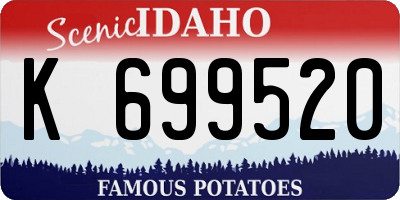 ID license plate K699520