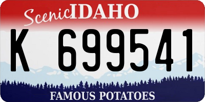 ID license plate K699541