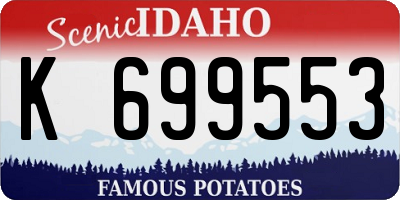 ID license plate K699553