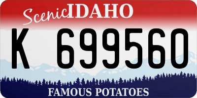 ID license plate K699560