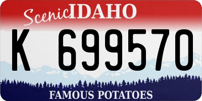ID license plate K699570