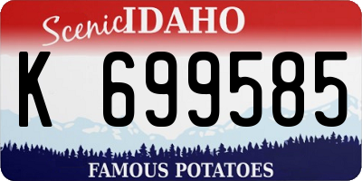 ID license plate K699585