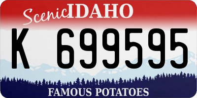 ID license plate K699595