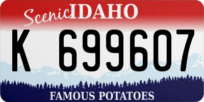 ID license plate K699607