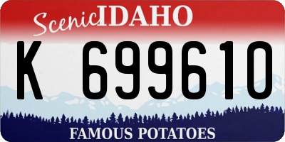 ID license plate K699610