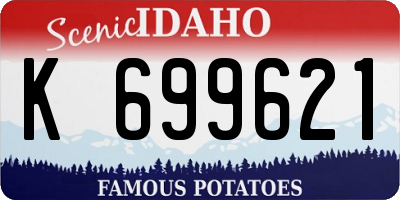 ID license plate K699621
