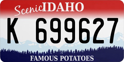 ID license plate K699627