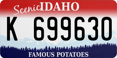 ID license plate K699630
