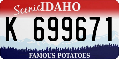 ID license plate K699671