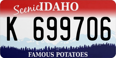 ID license plate K699706